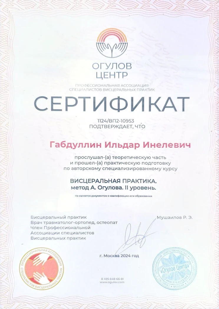 Документ Ильдара Габдуллина: Висцеральная практика · II уровень, 2024